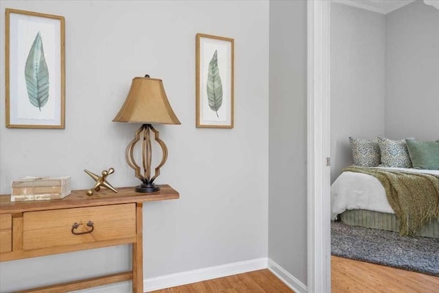 bedroom with light hardwood / wood-style flooring