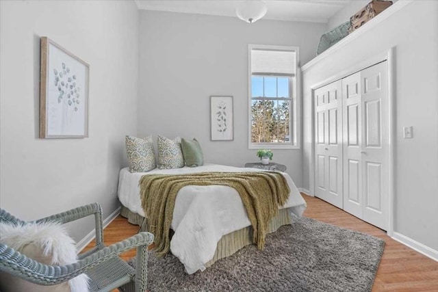 bedroom featuring a closet and hardwood / wood-style flooring