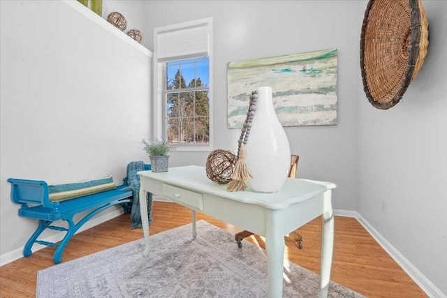 sitting room with wood-type flooring