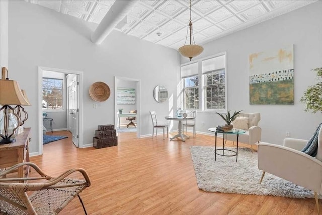 living room featuring hardwood / wood-style flooring and a towering ceiling