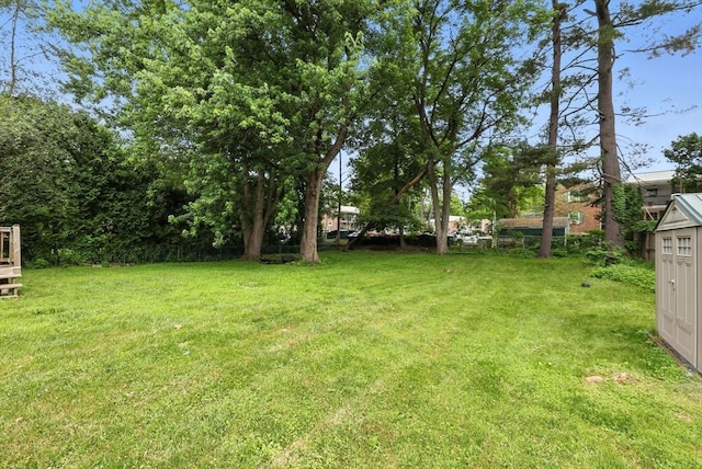 14 Carlton St, South Hadley, MA 01075 - view of green lawn
