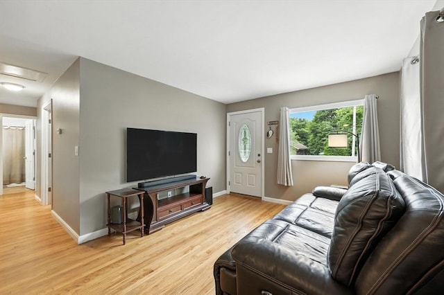 14 Carlton St, South Hadley, MA 01075 - living room with light wood finished floors and attic access