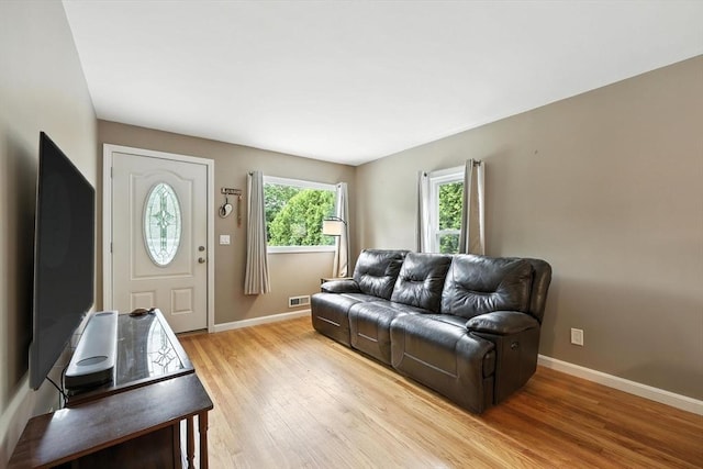14 Carlton St, South Hadley, MA 01075 - living room with light wood-style flooring and baseboards