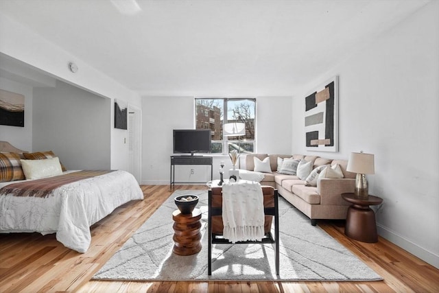 living room featuring light wood-type flooring