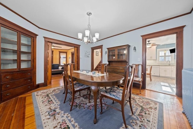 dining area with ornamental molding, ceiling fan with notable chandelier, and light wood-type flooring