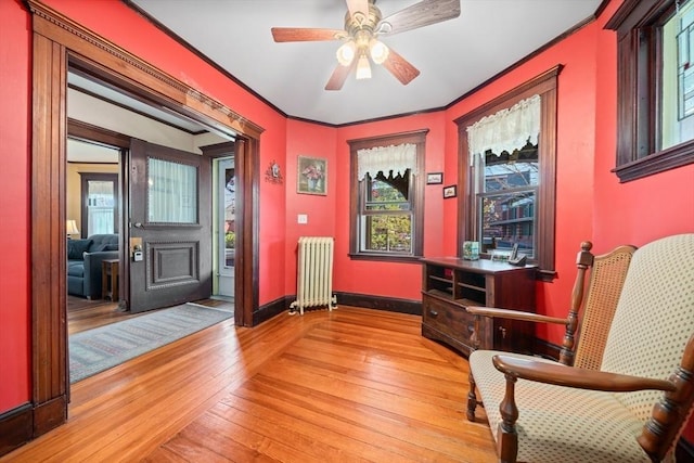 living area with crown molding, ceiling fan, radiator heating unit, light wood-style flooring, and baseboards