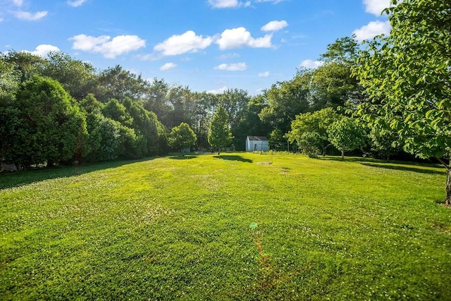 35 Lazywood Ln, Swansea, MA 02777 - view of grassy yard featuring a storage unit