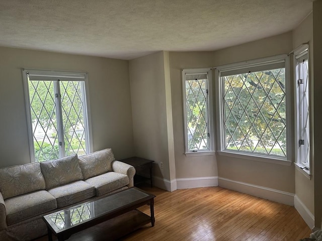 54 Brunswick Park, Melrose, MA 02176 - living room with baseboards, healthy amount of natural light, light wood-style flooring, and a textured ceiling