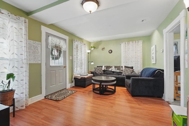 living room with hardwood / wood-style floors