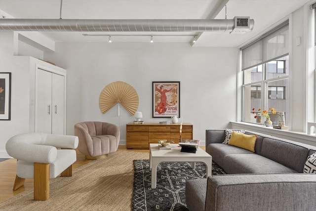 living room with track lighting and wood-type flooring