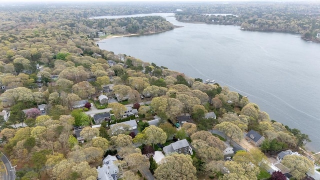 aerial view of a large body of water and a heavily wooded area