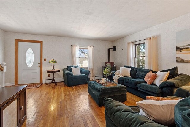 living room with a wood stove, baseboard heating, light hardwood / wood-style floors, and a wealth of natural light