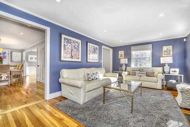 living room with crown molding and wood-type flooring