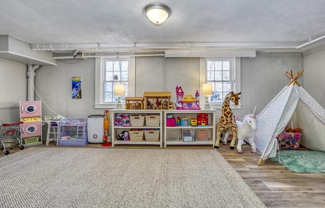 game room with hardwood / wood-style flooring