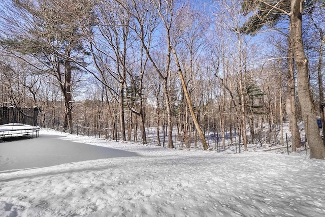 view of snowy yard