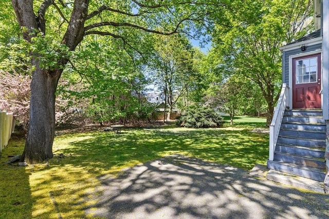 view of yard featuring entry steps and fence