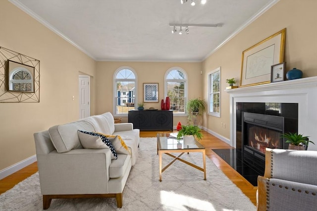 living area featuring a fireplace, crown molding, baseboards, and wood finished floors