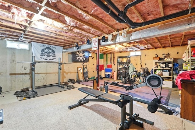 workout room featuring carpet floors
