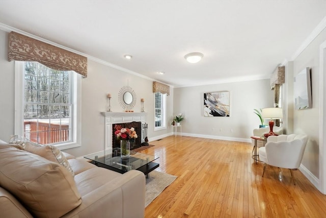6 Hutchins Way, Westford, MA 01886 - living room featuring light wood-style flooring, crown molding, a fireplace, and baseboards