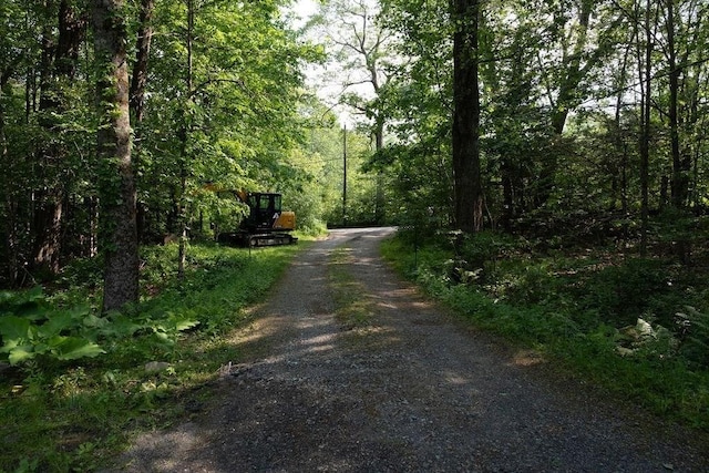 8 Adams Rd, Hubbardston, MA 01452 - view of road with a wooded view