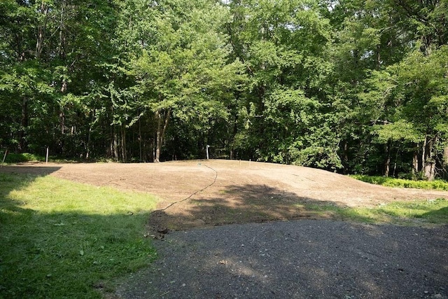 8 Adams Rd, Hubbardston, MA 01452 - view of yard featuring a wooded view