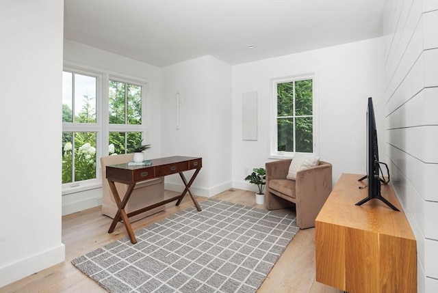 office space featuring light wood-type flooring