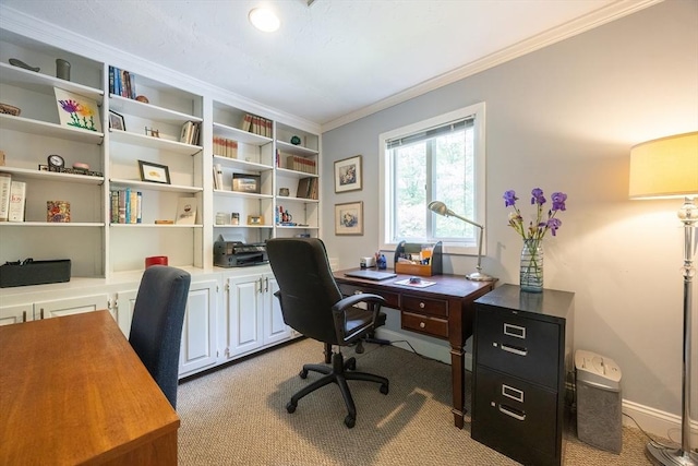 5 Deerfield Rd, Medway, MA 02053 - carpeted office featuring crown molding