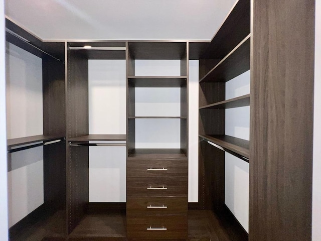 spacious closet featuring dark wood-type flooring