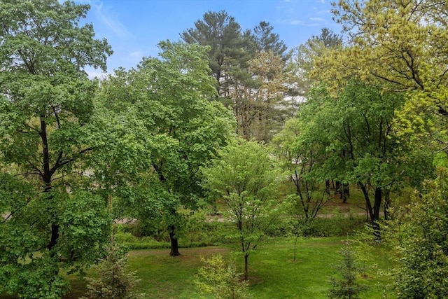 view of nature with a forest view