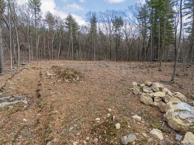 6 Meadow Rd, Bolton, MA 01740 - view of tree filled area