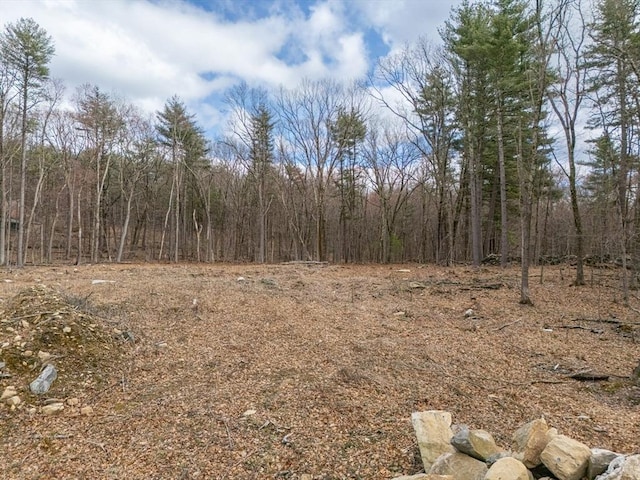 6 Meadow Rd, Bolton, MA 01740 - view of woods