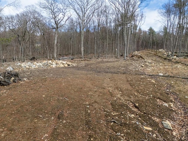6 Meadow Rd, Bolton, MA 01740 - view of tree filled area