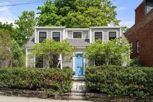 view of front of house featuring roof with shingles