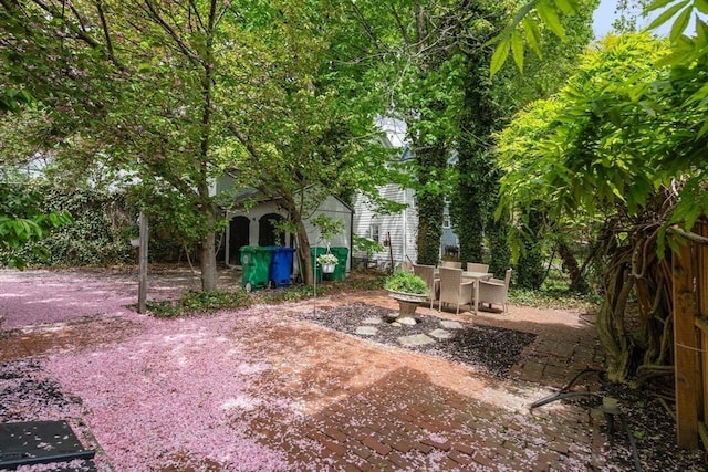 view of yard with a patio