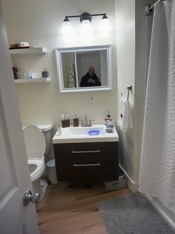 bathroom featuring toilet, vanity, and wood-type flooring