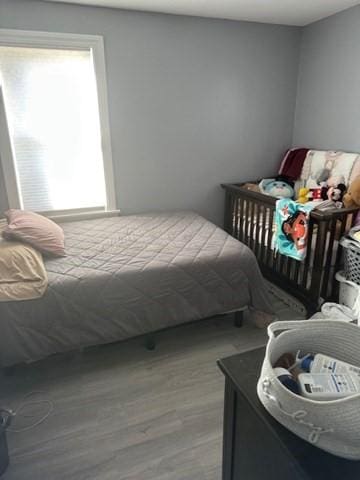 bedroom featuring wood-type flooring