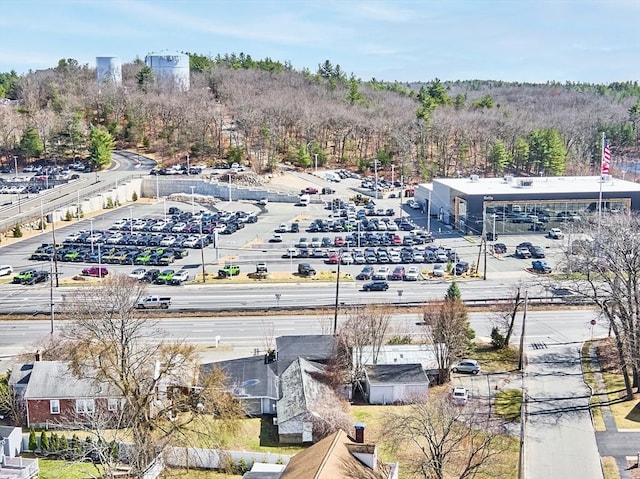 bird's eye view