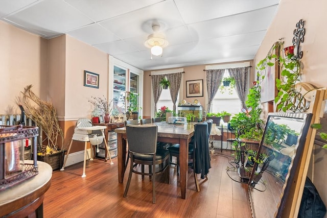 dining space with ceiling fan, a drop ceiling, and wood-type flooring