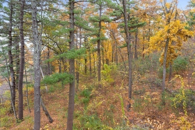 view of local wilderness