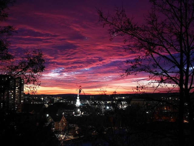 view of nature at dusk