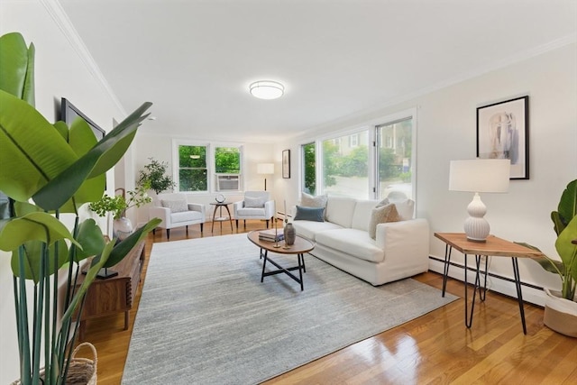 90 Woodland Rd, Malden, MA 02148 - living room with crown molding, wood finished floors, and baseboard heating