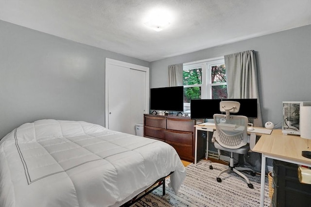 389 Porter Rd, East Longmeadow, MA 01028 - bedroom featuring wood finished floors and a closet