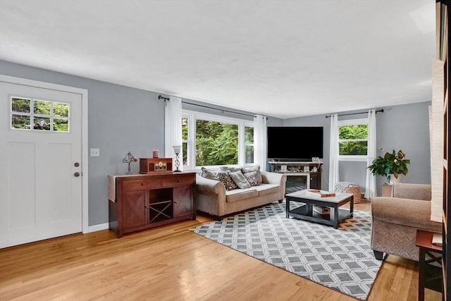 389 Porter Rd, East Longmeadow, MA 01028 - living area featuring plenty of natural light and light wood-type flooring