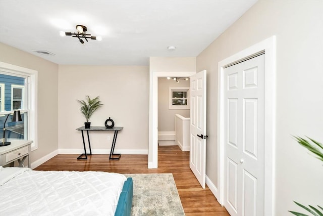 bedroom featuring wood-type flooring and a closet