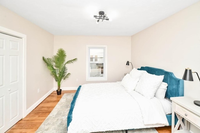 bedroom featuring a closet and wood-type flooring