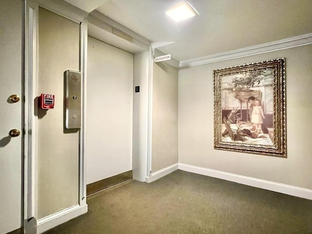 interior space featuring crown molding