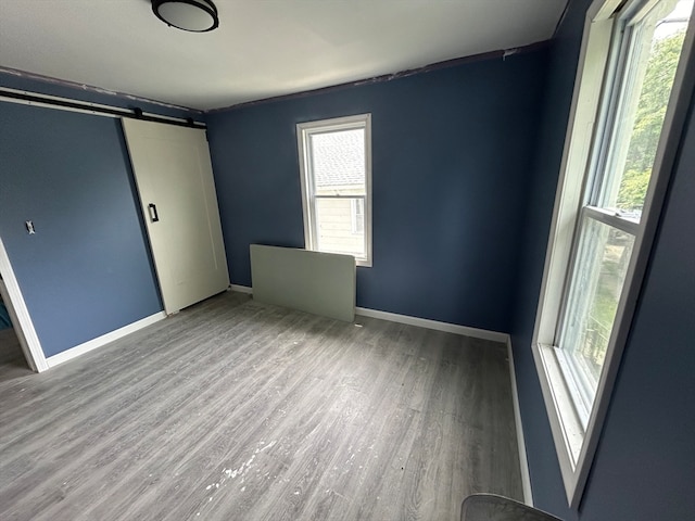 interior space with a barn door, a healthy amount of sunlight, and wood-type flooring