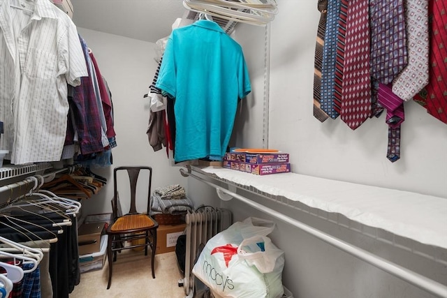 84 Chapin Greene Unit 84, Ludlow, MA 01056 - walk in closet with radiator heating unit and carpet
