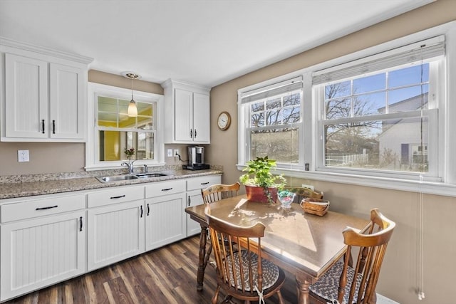 kitchen with white cabinetry, decorative light fixtures, dark wood finished floors, and a sink