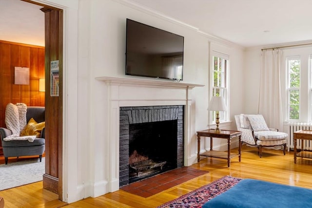 96 Nonantum St, Newton, MA 02458 - living room featuring a fireplace, radiator heating unit, wood finished floors, and ornamental molding